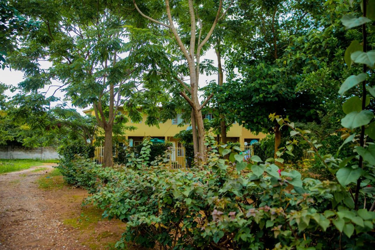 Sanctuary Aparthotel-Ac-Garden- Solar-Wi-Fi -Firepit-Park-Carport Lusaka Exteriér fotografie